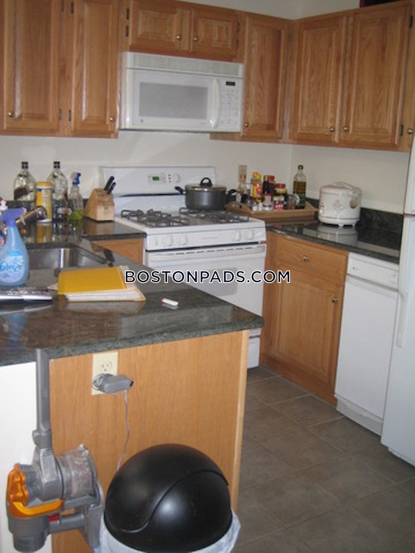 BOSTON - BACK BAY - 1 Bed, 1 Bath - Image 13