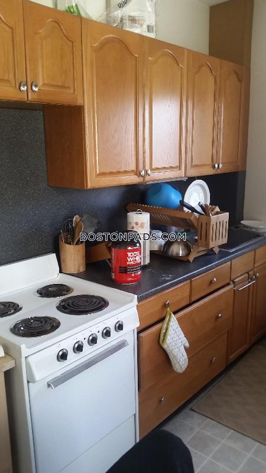 Cambridge - $2,600+ /month