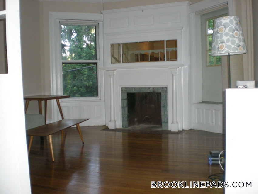 BROOKLINE- BOSTON UNIVERSITY - 1 Bed, 1 Bath - Image 8