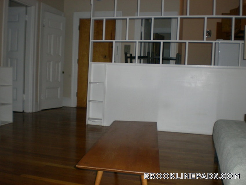 BROOKLINE- BOSTON UNIVERSITY - 1 Bed, 1 Bath - Image 7