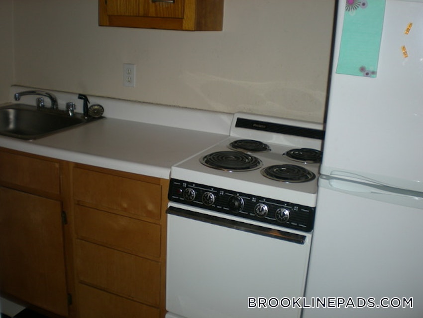 BROOKLINE- BOSTON UNIVERSITY - 1 Bed, 1 Bath - Image 4