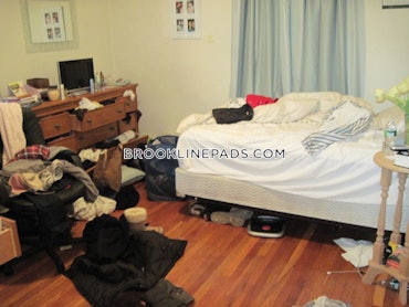 Boston University, Brookline, MA - 4 Beds, 2 Baths - $6,000 - ID#5990263
