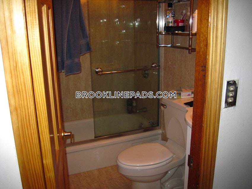 Brookline - Boston University - 4 Beds, 2 Baths - Image 15