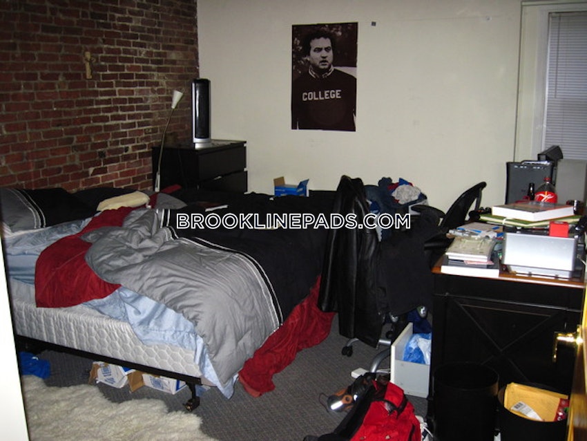 Brookline - Boston University - 4 Beds, 2 Baths - Image 13