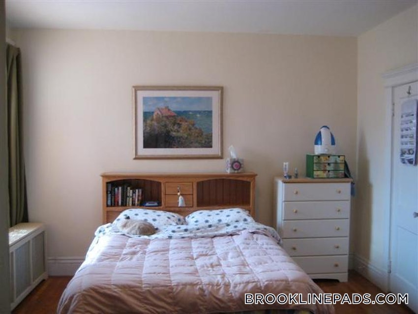 BROOKLINE- BOSTON UNIVERSITY - 1 Bed, 1 Bath - Image 11