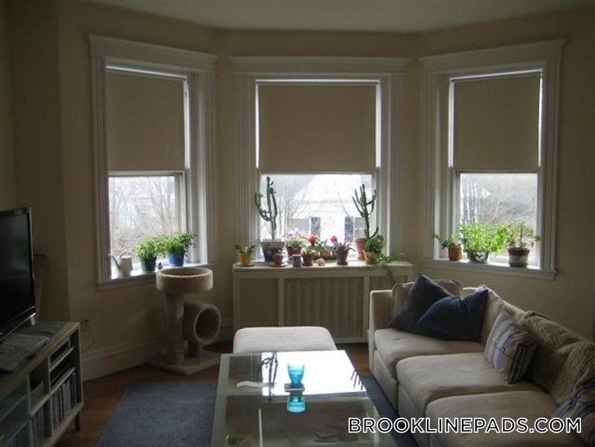 BROOKLINE- BOSTON UNIVERSITY - 1 Bed, 1 Bath - Image 4