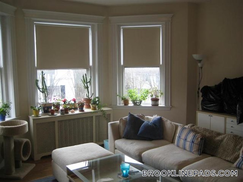 BROOKLINE- BOSTON UNIVERSITY - 1 Bed, 1 Bath - Image 3