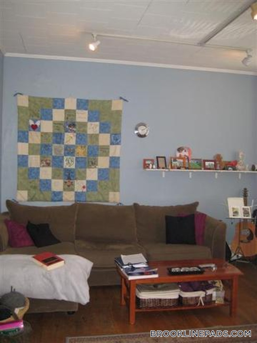 BROOKLINE- BOSTON UNIVERSITY - 3 Beds, 2 Baths - Image 3