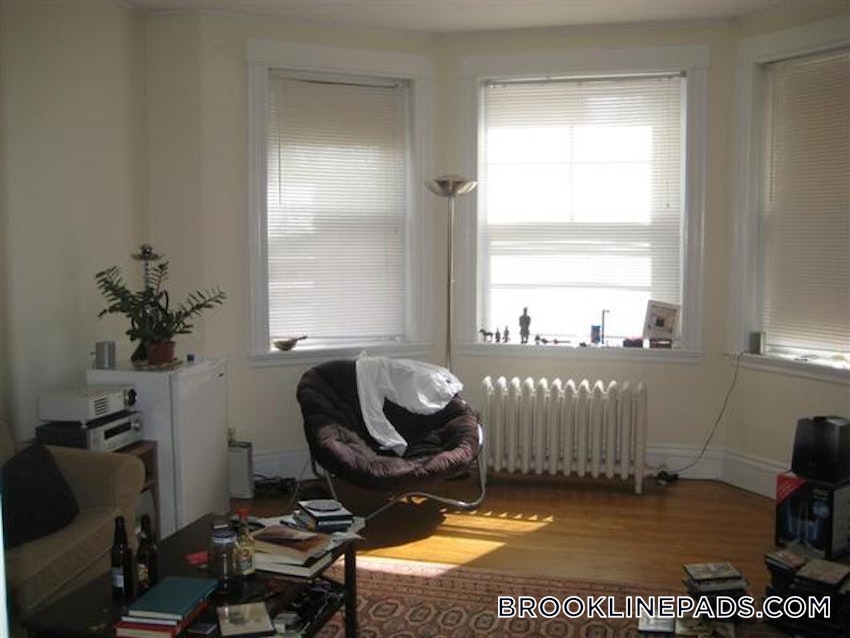 BROOKLINE- BOSTON UNIVERSITY - 2 Beds, 1 Bath - Image 5