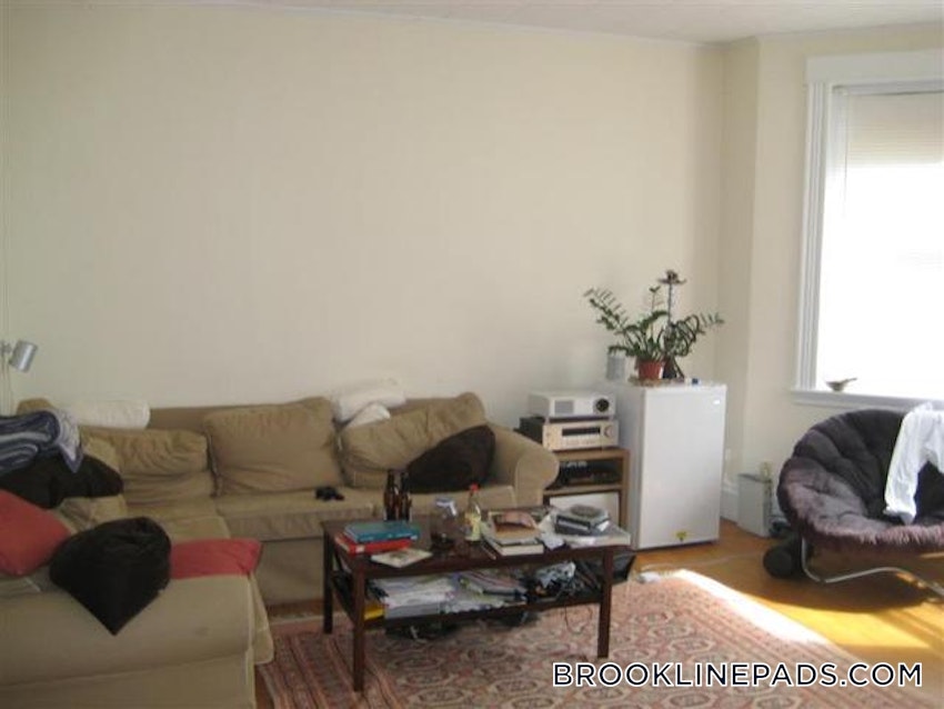 BROOKLINE- BOSTON UNIVERSITY - 2 Beds, 1 Bath - Image 25