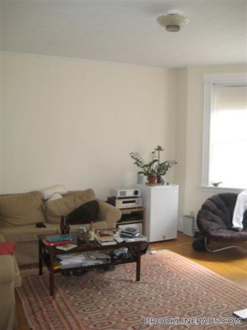 BROOKLINE- BOSTON UNIVERSITY - 2 Beds, 1 Bath - Image 24