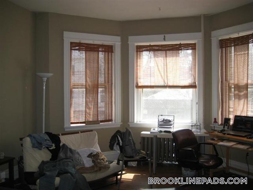 BROOKLINE- BOSTON UNIVERSITY - 3 Beds, 2 Baths - Image 20