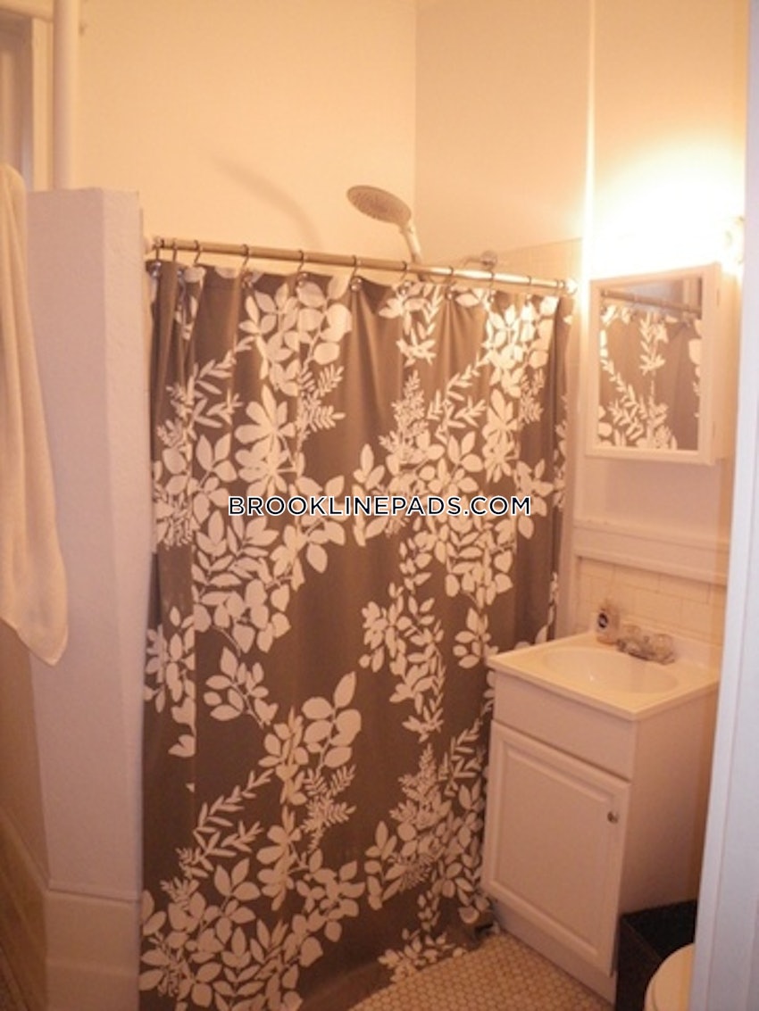 BROOKLINE- BOSTON UNIVERSITY - 3 Beds, 2 Baths - Image 74