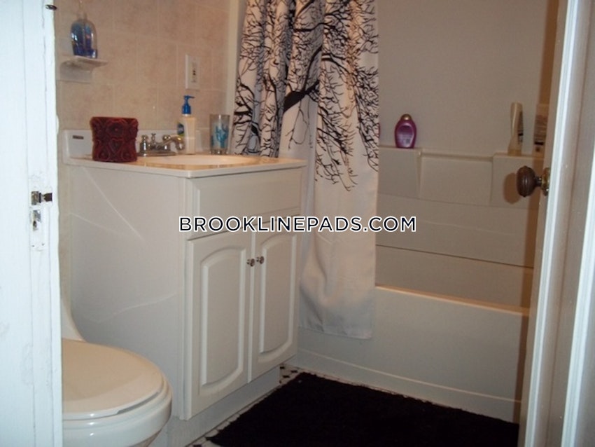 BROOKLINE- BOSTON UNIVERSITY - 3 Beds, 1 Bath - Image 20