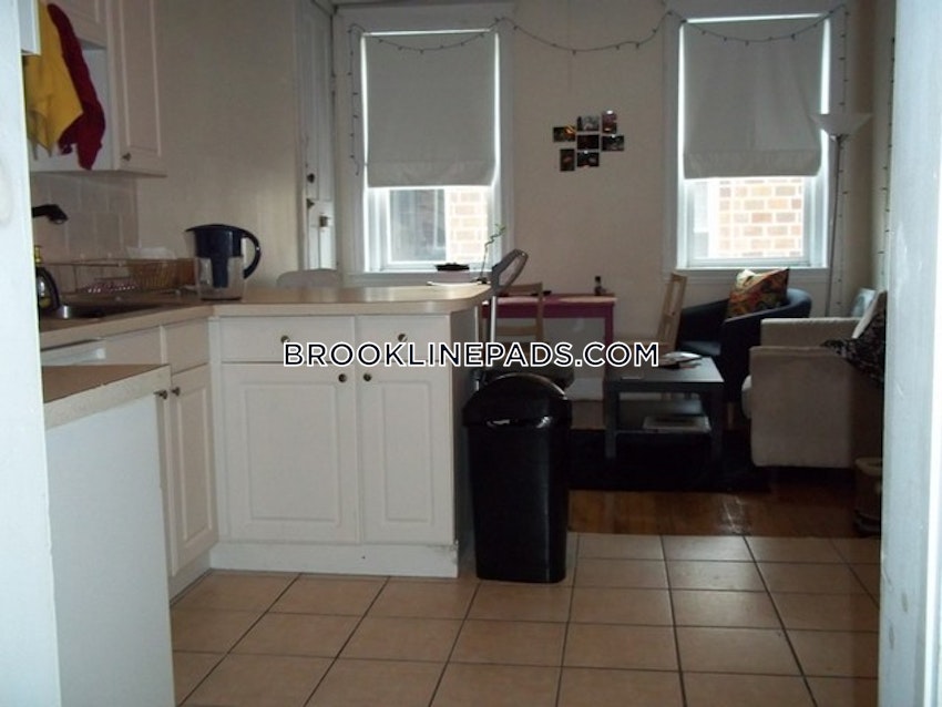 BROOKLINE- BOSTON UNIVERSITY - 3 Beds, 1 Bath - Image 13