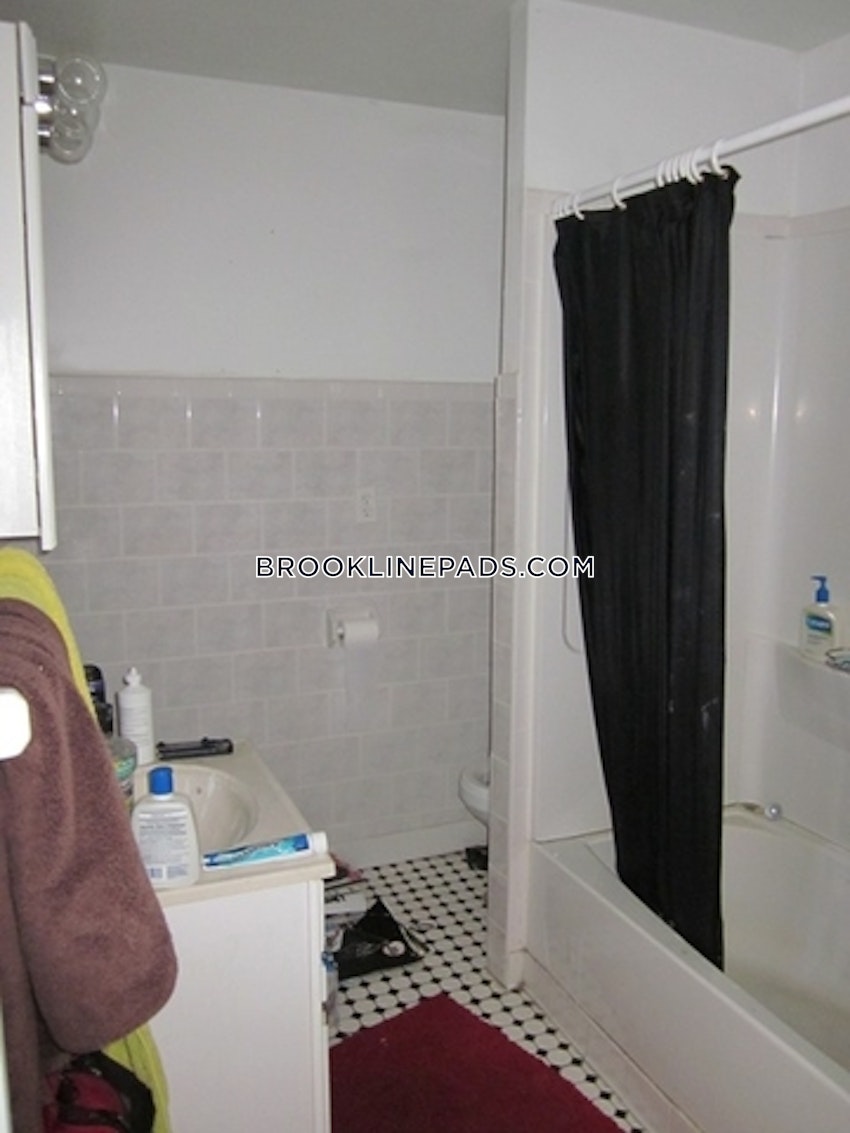 Brookline - Boston University - 4 Beds, 2 Baths - Image 13