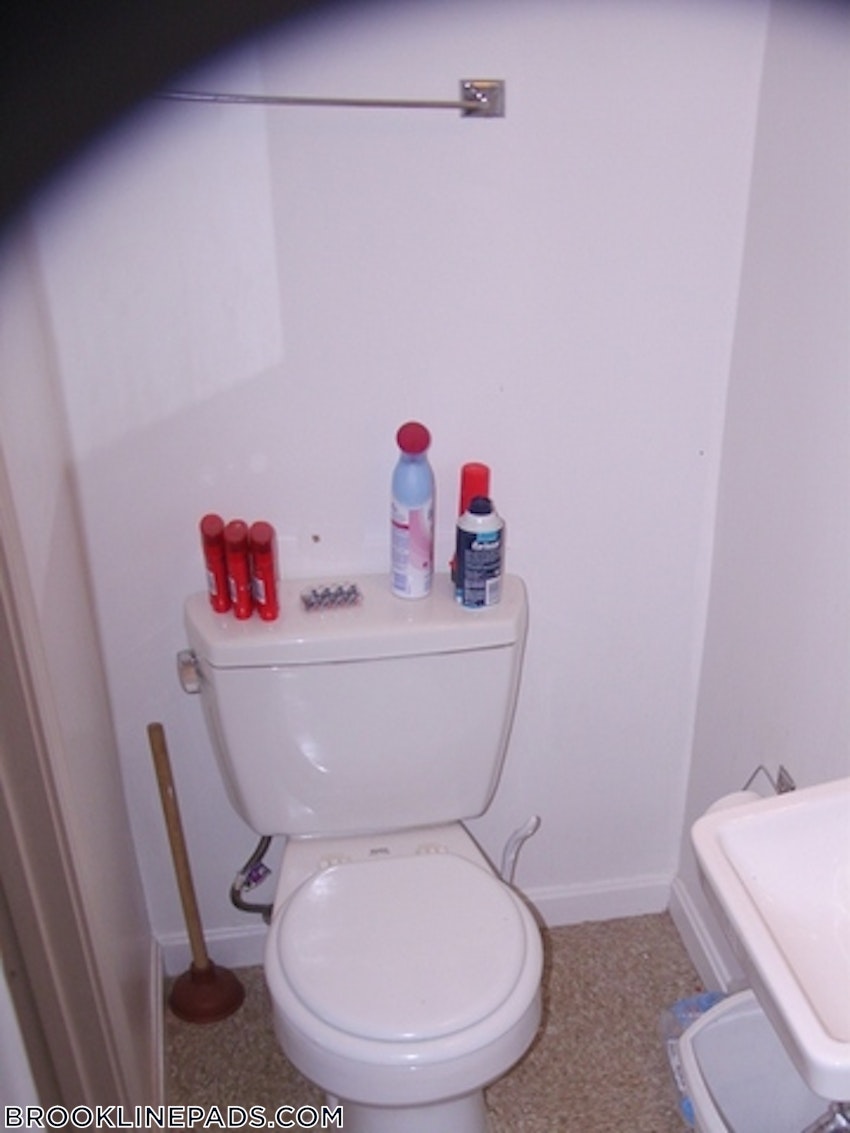 BROOKLINE- LONGWOOD AREA - Studio , 1 Bath - Image 7