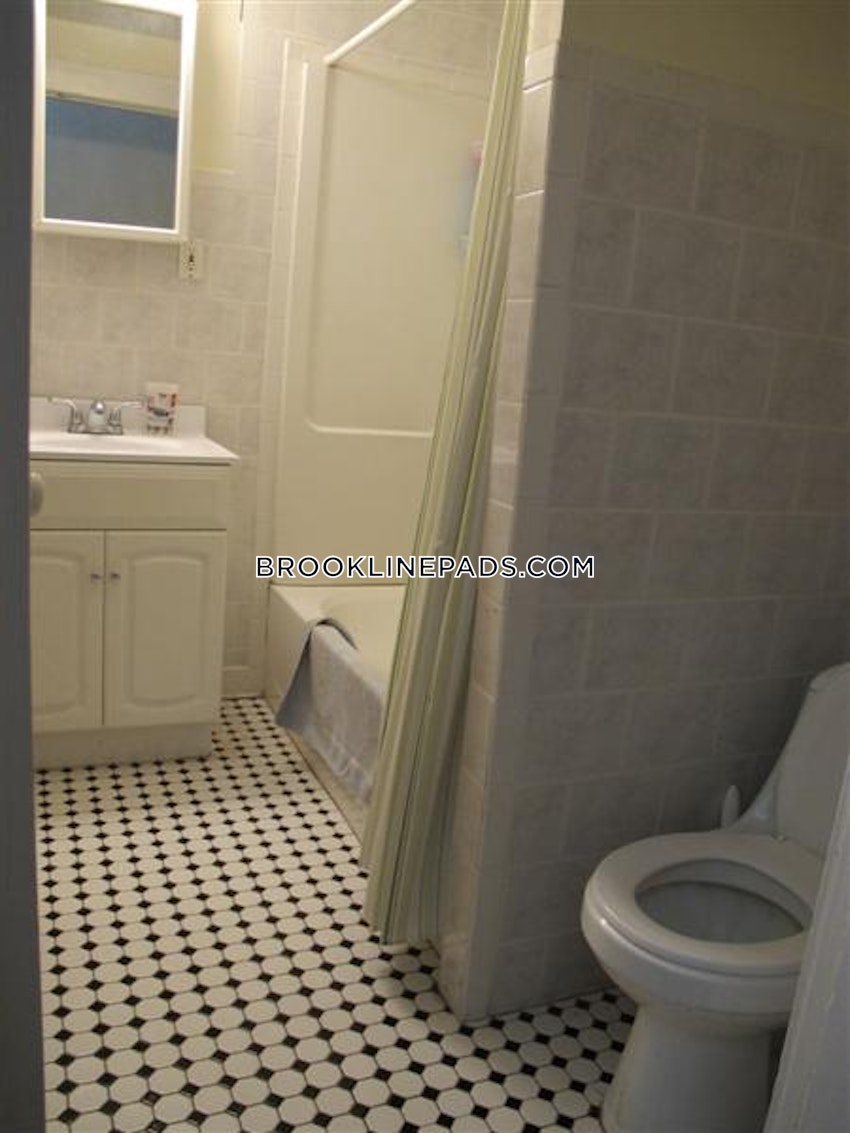 BROOKLINE- BOSTON UNIVERSITY - 3 Beds, 1 Bath - Image 24