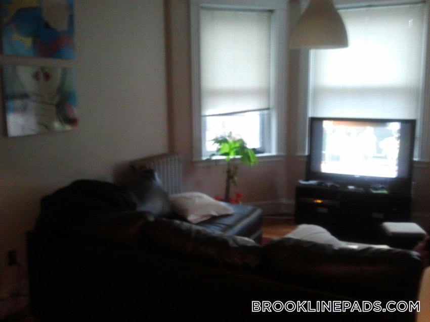 BROOKLINE- BOSTON UNIVERSITY - 2 Beds, 1 Bath - Image 10