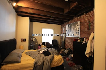 Boston University, Brookline, MA - 4 Beds, 2 Baths - $7,700 - ID#8034464