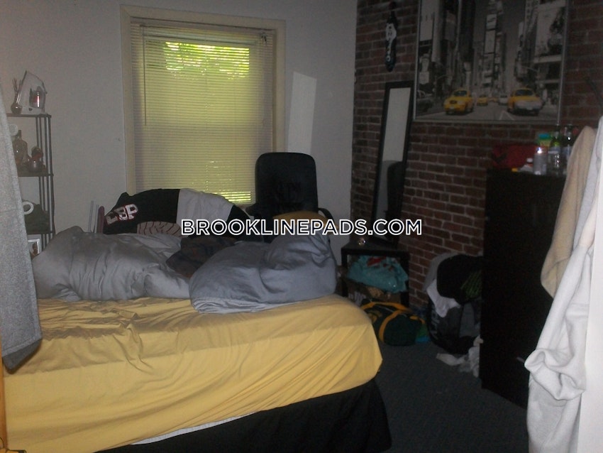 Brookline - Boston University - 4 Beds, 2 Baths - Image 4