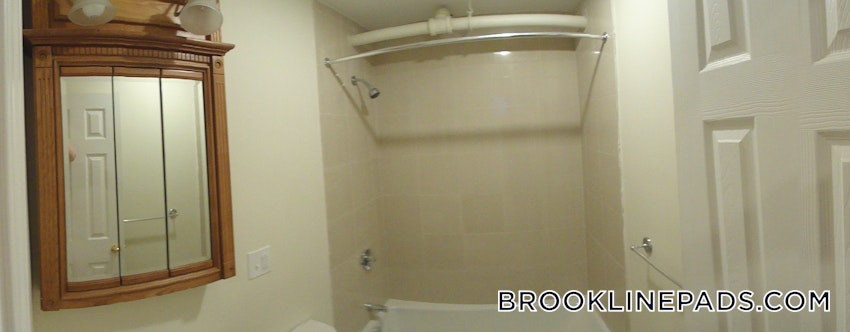 BROOKLINE- BOSTON UNIVERSITY - 3 Beds, 2 Baths - Image 45