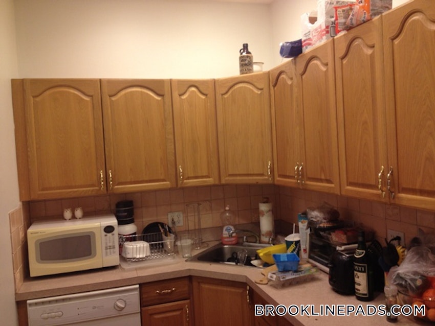 BROOKLINE- BOSTON UNIVERSITY - 3 Beds, 2 Baths - Image 20