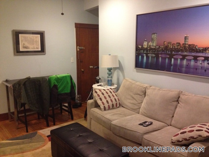 BROOKLINE- BOSTON UNIVERSITY - 3 Beds, 2 Baths - Image 9