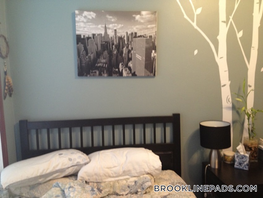 BROOKLINE- BOSTON UNIVERSITY - 3 Beds, 2 Baths - Image 33