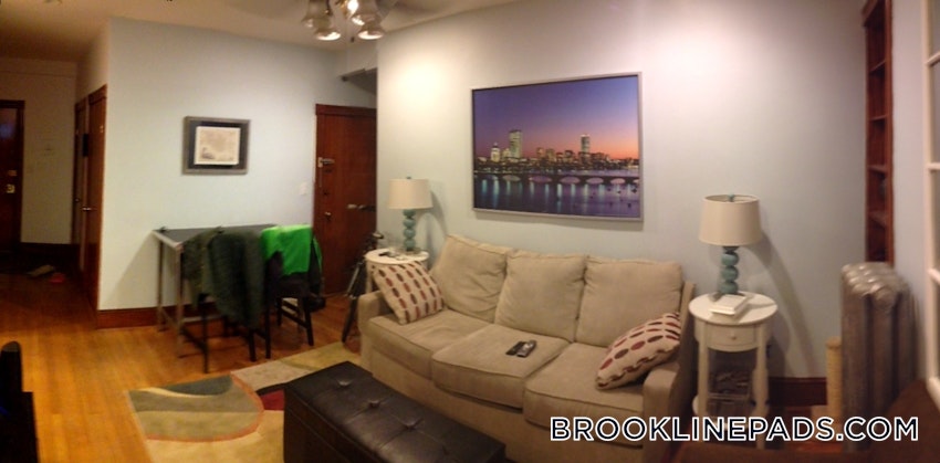 BROOKLINE- BOSTON UNIVERSITY - 3 Beds, 2 Baths - Image 4