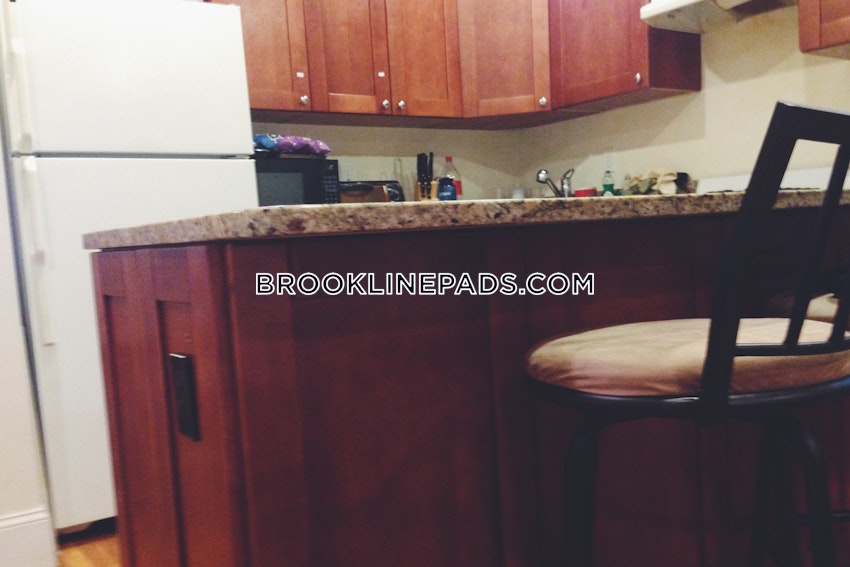 BROOKLINE- BOSTON UNIVERSITY - 3 Beds, 1 Bath - Image 5