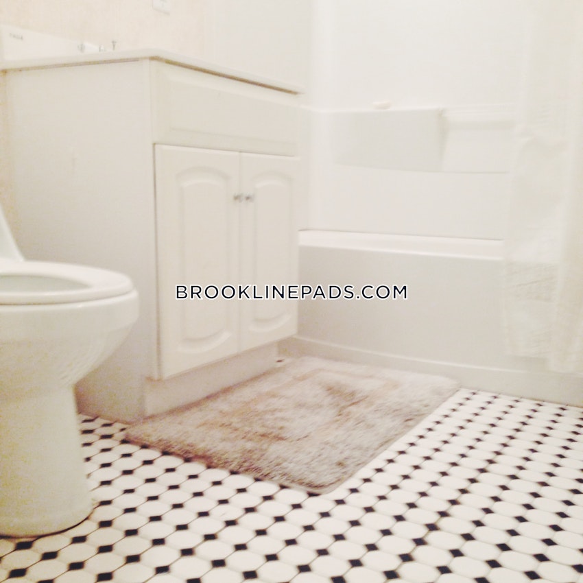 BROOKLINE- BOSTON UNIVERSITY - 3 Beds, 1 Bath - Image 17