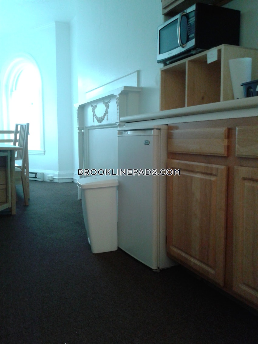 BROOKLINE- LONGWOOD AREA - Studio , 1 Bath - Image 1