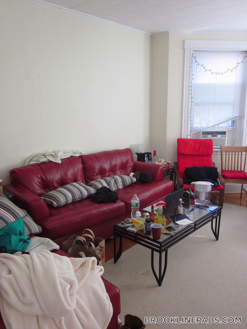 BROOKLINE- BOSTON UNIVERSITY - 2 Beds, 1 Bath - Image 5