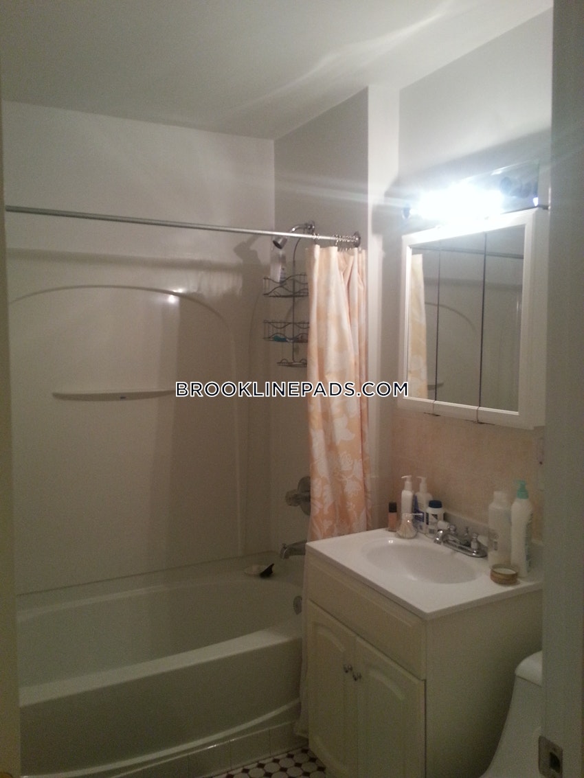 Brookline - Boston University - 3 Beds, 1 Bath - Image 11