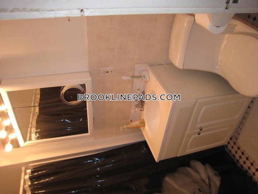 Brookline - Boston University - 3 Beds, 1 Bath - Image 10