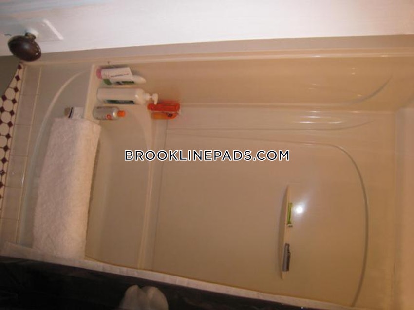 Brookline - Boston University - 3 Beds, 1 Bath - Image 9