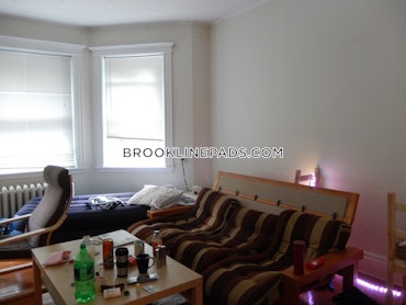 Boston University, Brookline, MA - 3 Beds, 2 Baths - $5,200 - ID#4499318