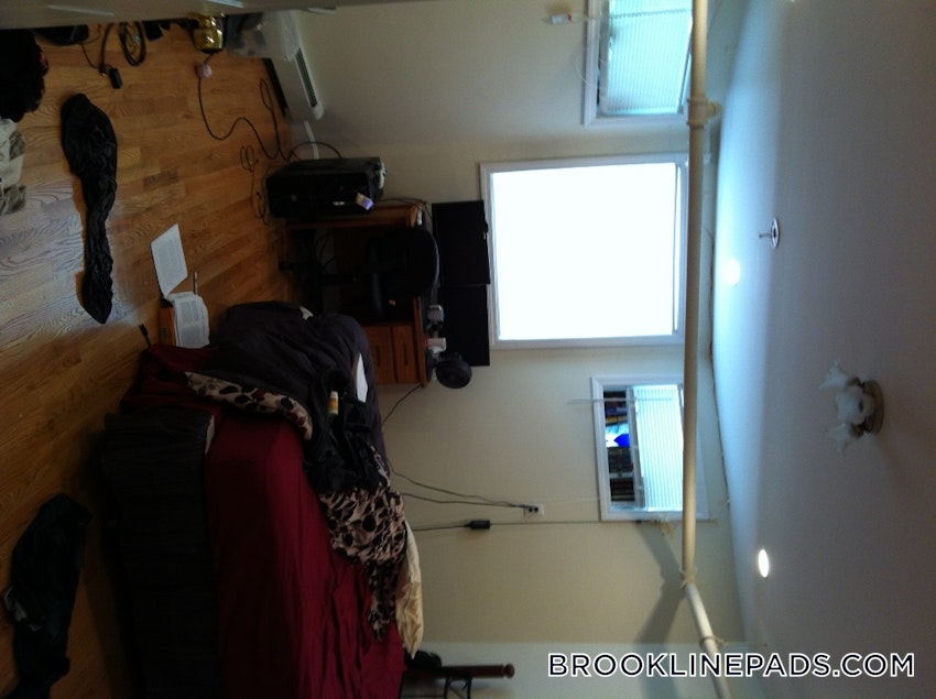 BROOKLINE- BOSTON UNIVERSITY - 3 Beds, 2 Baths - Image 38