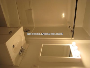 Boston University, Brookline, MA - 3 Beds, 1 Bath - $5,335 - ID#8012161