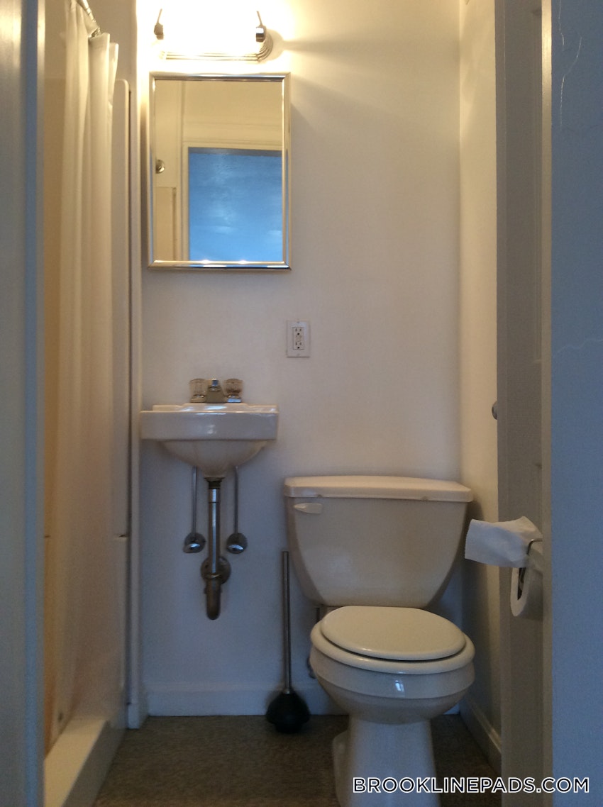 BROOKLINE- LONGWOOD AREA - Studio , 1 Bath - Image 23