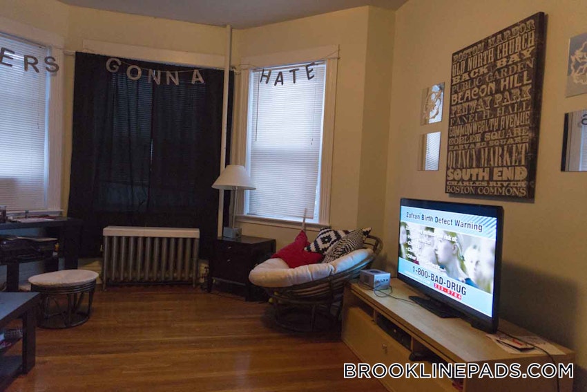 BROOKLINE- BOSTON UNIVERSITY - 3 Beds, 2 Baths - Image 16