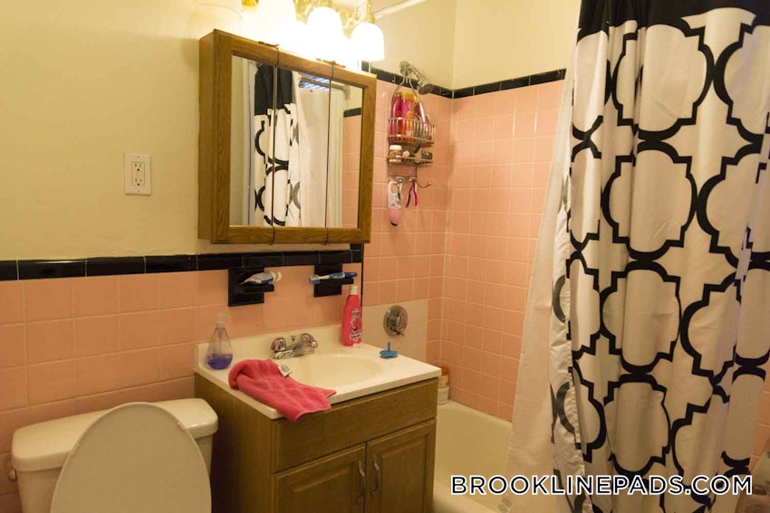 BROOKLINE- BOSTON UNIVERSITY - 3 Beds, 2 Baths - Image 46