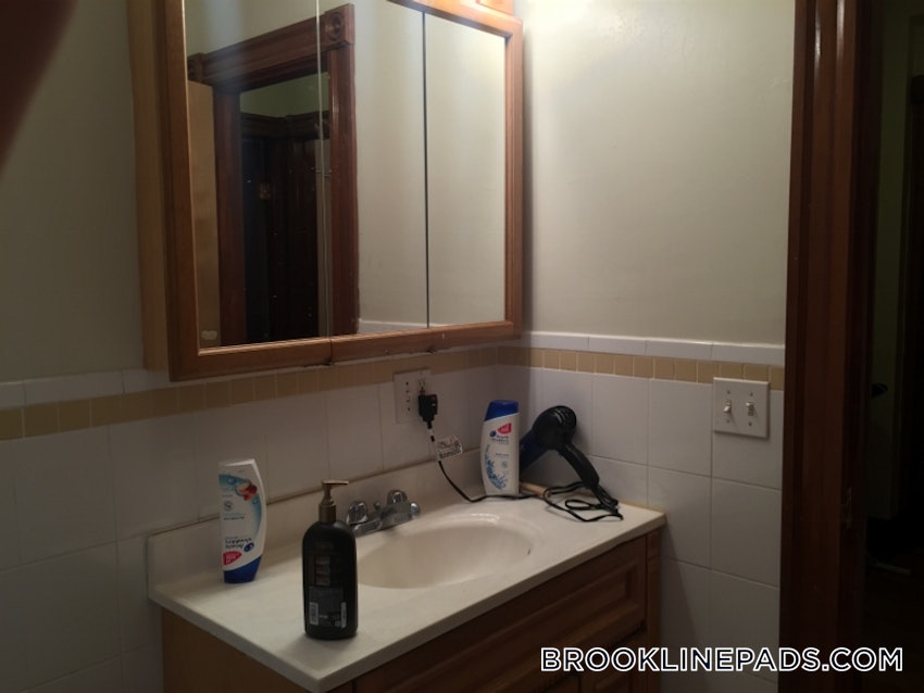 BROOKLINE- BOSTON UNIVERSITY - 3 Beds, 2 Baths - Image 79