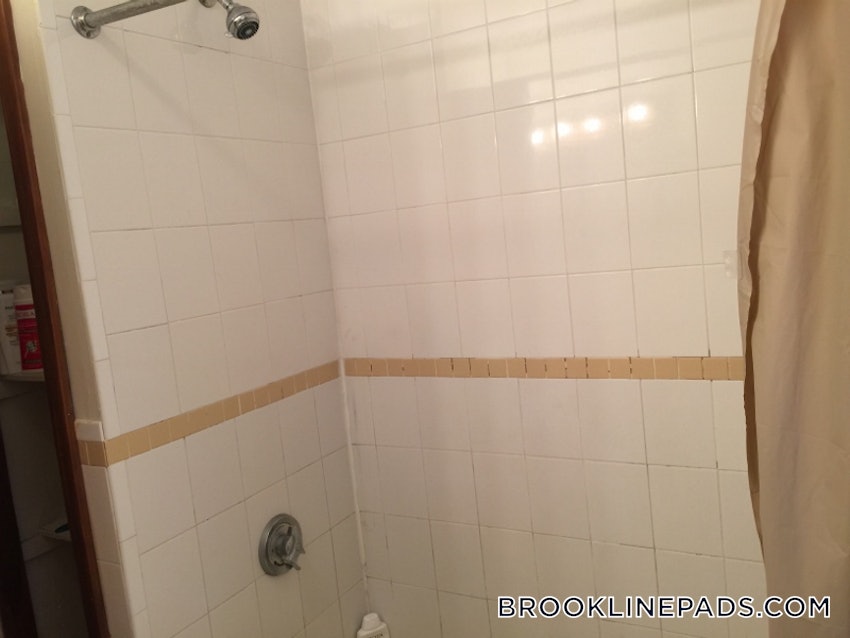 BROOKLINE- BOSTON UNIVERSITY - 3 Beds, 2 Baths - Image 81