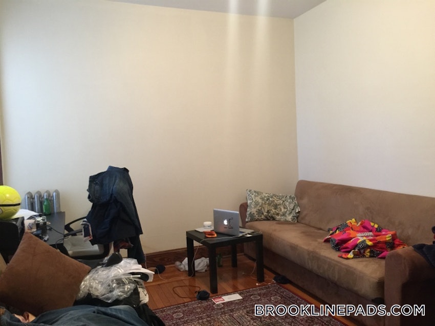 BROOKLINE- BOSTON UNIVERSITY - 3 Beds, 2 Baths - Image 48