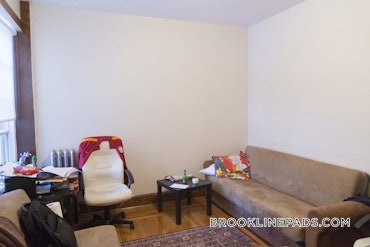 Boston University, Brookline, MA - 3 Beds, 2 Baths - $4,150 - ID#5455541