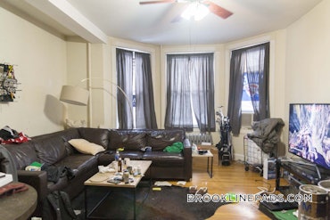 Boston University, Brookline, MA - 2 Beds, 2 Baths - $3,400 - ID#5423237