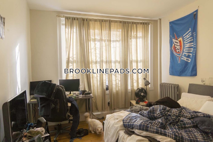 BROOKLINE- BOSTON UNIVERSITY - 2 Beds, 2 Baths - Image 8