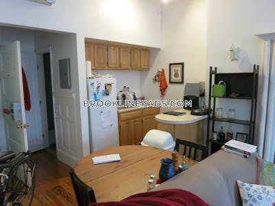 Brookline Apartment for rent 1 Bedroom 1 Bath  Boston University - $2,295